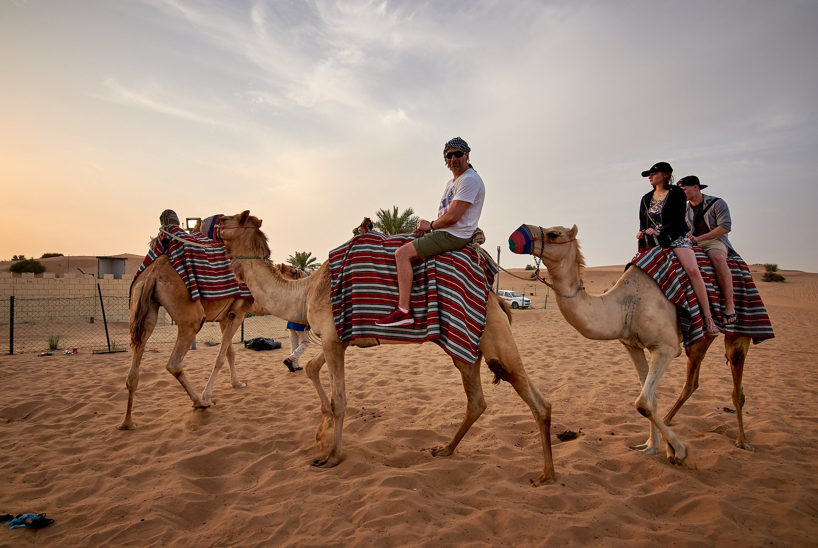 camel riding